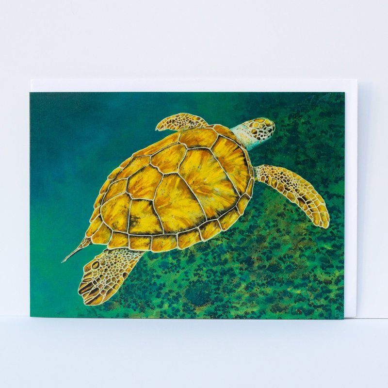 Myrtle the Turtle - Greetings Card Pack (x6)
