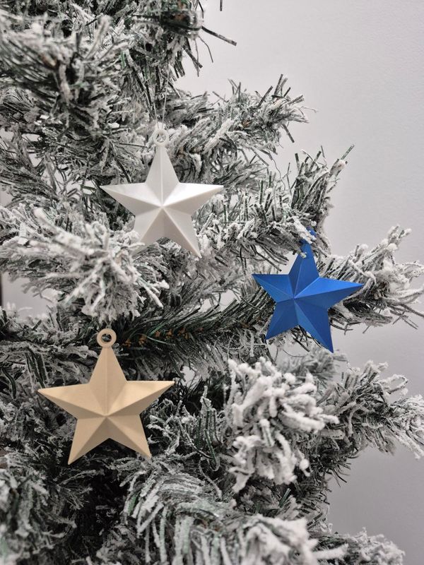 Décoration sapin de Noël - 5 Étoiles polaires