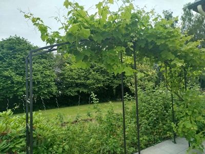 arches en fer forgé pour le jardin ,la décoration extérieure