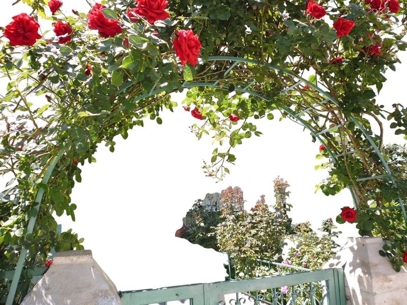 arche en fer carré de 12 mm et fer plat de 4 cm arche en fer carré de 12 mm et fer plat de 4 cm