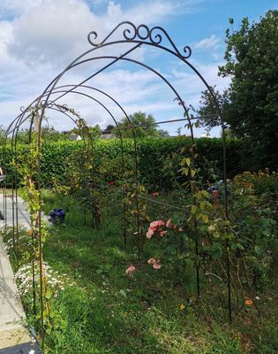 arche tunnel pour décorer une allée arche tunnel pour décorer une allée