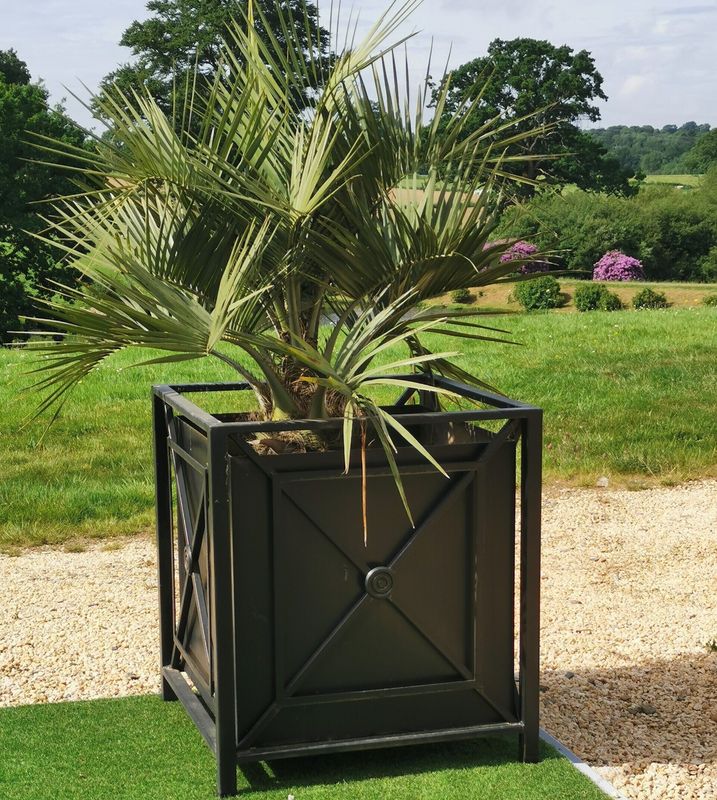 bac à citronnier, en fer forgé, superbe bac à citronnier, en fer forgé, superbe