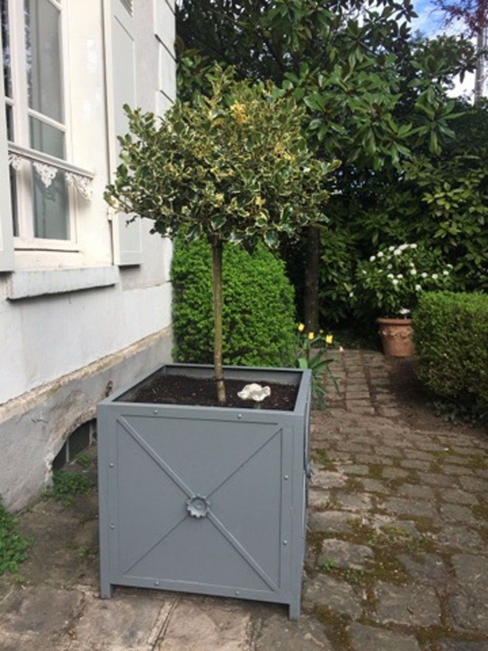 bac a citronnier de 65x65x65 cm en fer et rosace en fonte