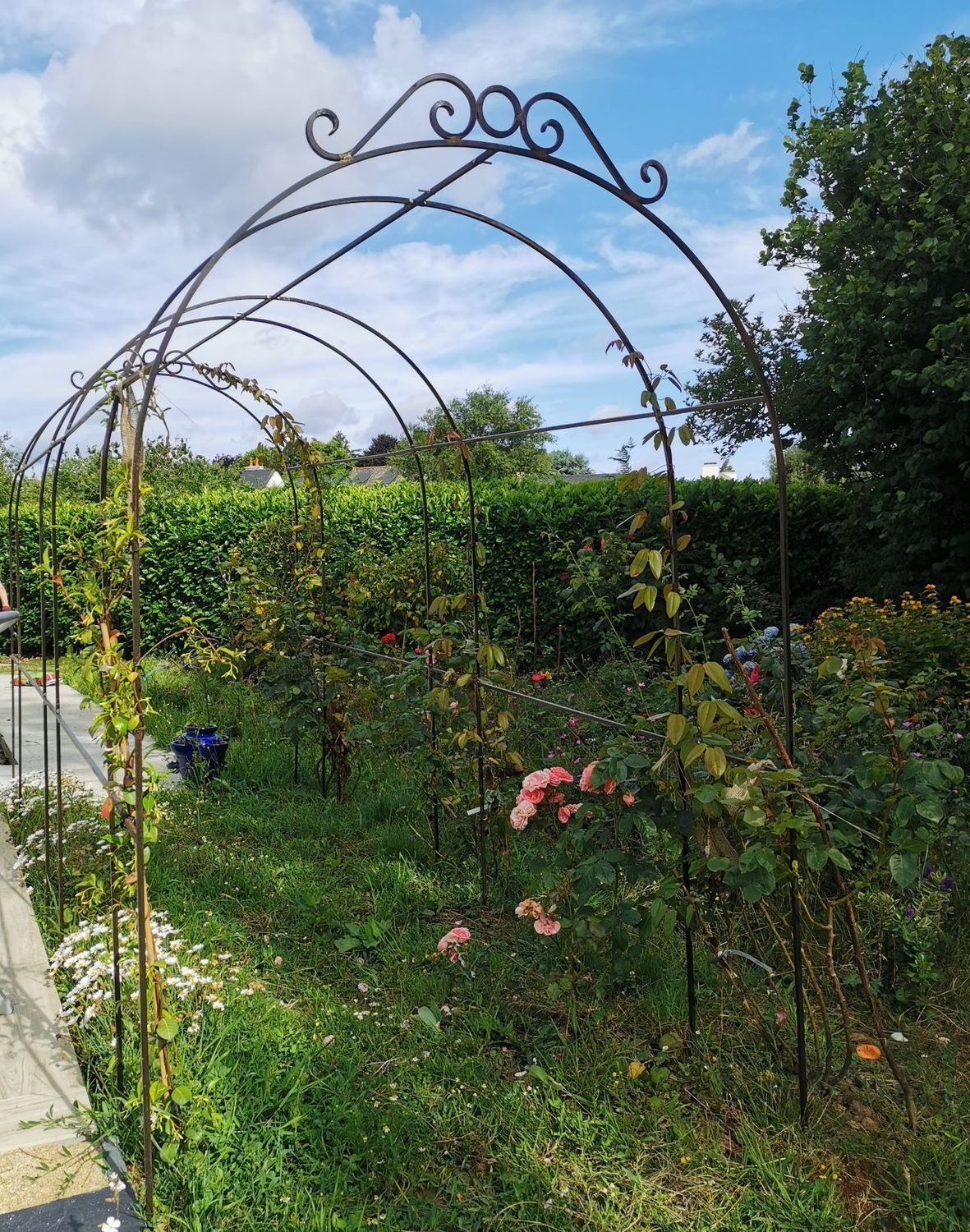 Tunnel ,arches jJlio en fer plein carré de 10 mm ,120x250cm par 380 cm