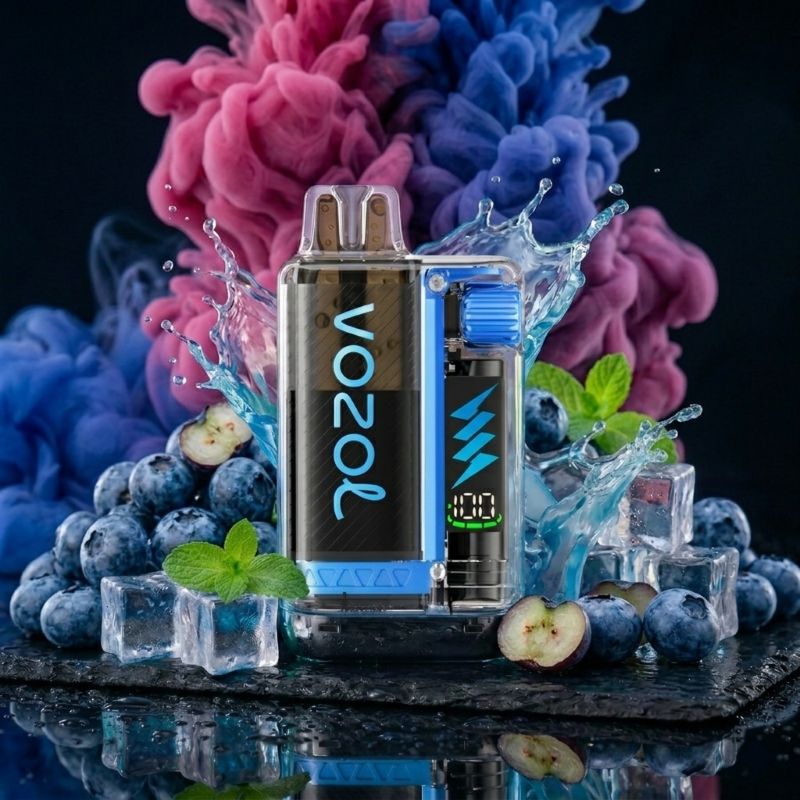 VOZOL Vista Plug 10000 Blueberry Ice – Einweg Hybrid Vape kaufen Schweiz | 10000 Züge | vapezz.ch