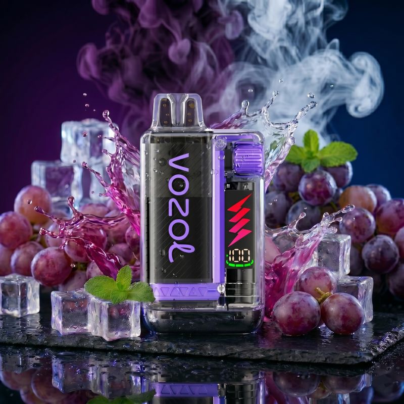 VOZOL Vista Plug 10000 Grape Ice – Einweg Hybrid Vape kaufen Schweiz | 10000 Züge | vapezz.ch