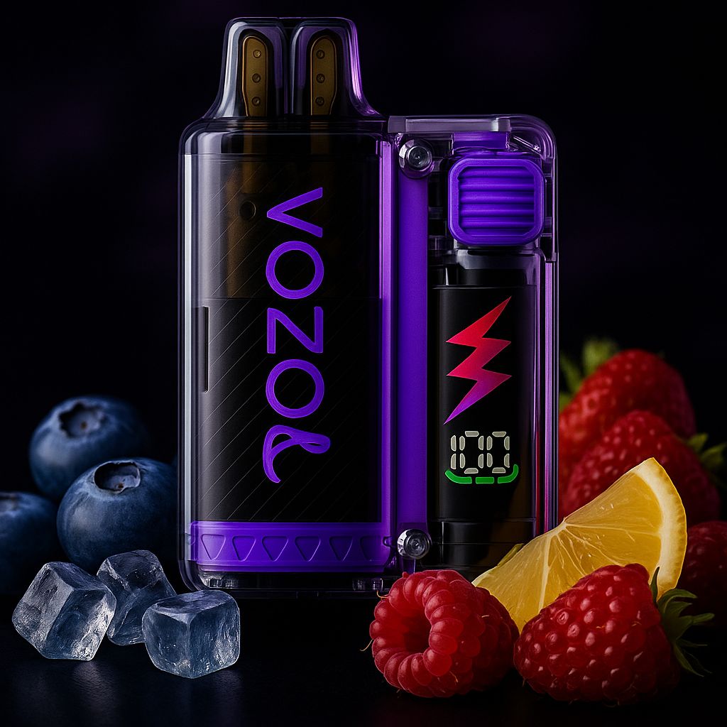 VOZOL Vista Plug 10000 Blueberry Raspberry Lemon – Einweg Hybrid Vape kaufen Schweiz | 10000 Züge | vapezz.ch