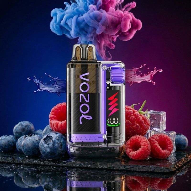 VOZOL Vista Plug 10000 Blueberry Sour Raspberry – Einweg Hybrid Vape kaufen Schweiz | 10000 Züge | vapezz.ch