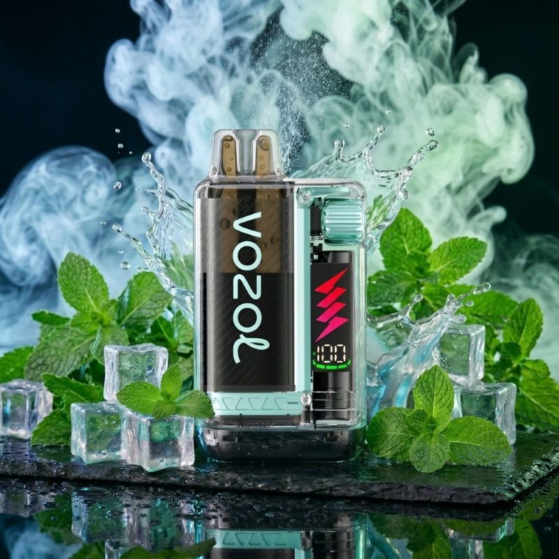 VOZOL Vista Plug 10000 Fresh Mint – Einweg Hybrid Vape kaufen Schweiz | 10000 Züge | vapezz.ch