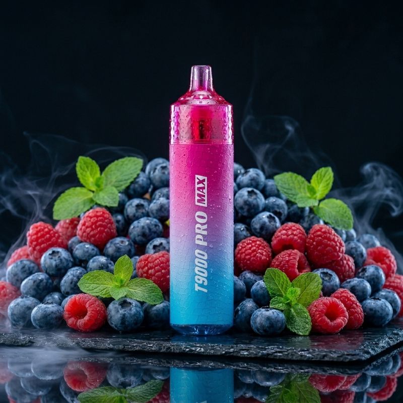 Fumot T9000 Pro Max Blueberry Raspberry – 9000 Puffs Hybrid Vape, TabPG-konform, kaufen Schweiz