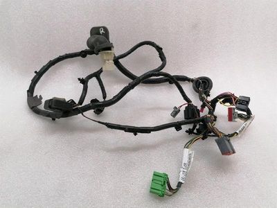 ASTON MARTIN VANTAGE V12 Wiring Loom BG33-14631-AA Harness RH DOOR
