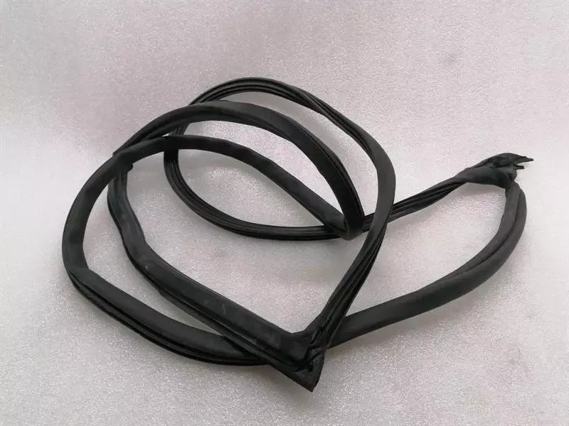 ASTON MARTIN VANTAGE V12 Door Seal 6G33-C20708-AH Door Seals RIGHT