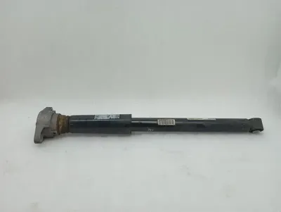 Bentley Continental GTC 18-24 3S 3SD Shock Absorber Rear 975513035D Rear