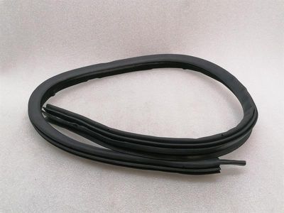 ASTON MARTIN RAPID S Door Seal ED43-F20708-FA Door Seals