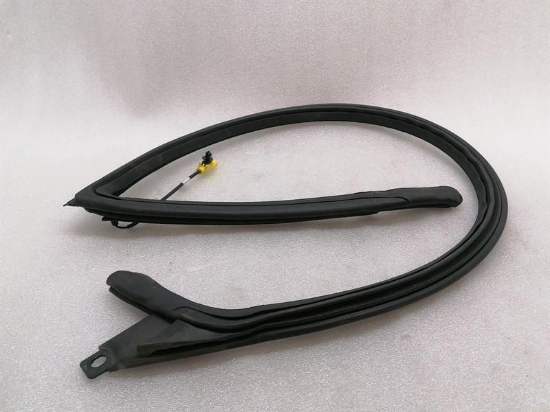 Aston Martin Rapide S Door Seal ED43-F20708-EA Door Seals FR HEATED UPPER
