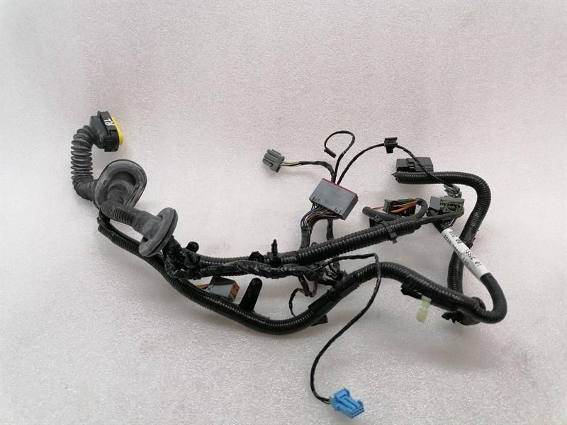 ASTON MARTIN RAPID S Wiring REAR LEFT DOOR AD43-14633-BA Harness