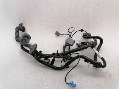ASTON MARTIN RAPID S Wiring REAR LEFT DOOR AD43-14633-BA Harness