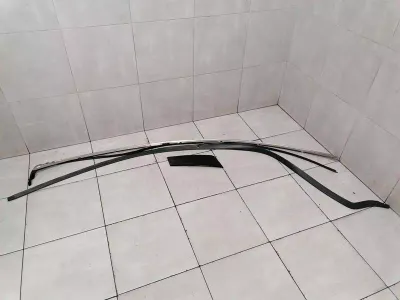 ASTON MARTIN RAPID S Body Moulding ED43-C519A39-AB Bar LEFT