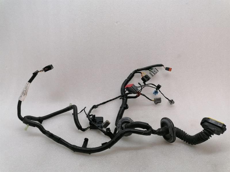 ASTON MARTIN RAPID S Wiring Loom BD43-14632-BA Harness RR DOOR