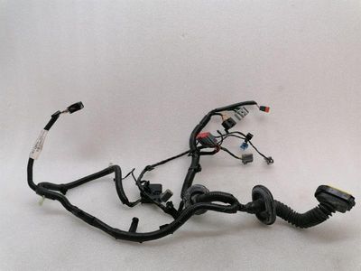 ASTON MARTIN RAPID S Wiring Loom BD43-14632-BA Harness RR DOOR