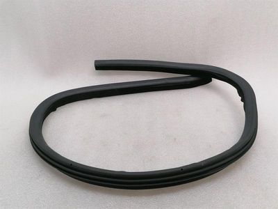 ASTON MARTIN RAPID S Door Seal ED43-F20708-CB Door Seals