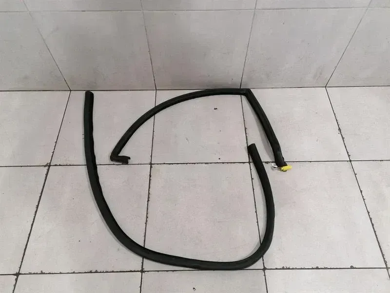 Aston Martin Rapide 10-14 Door Seal AD43-F20708-FB Rear Heated Door Seals