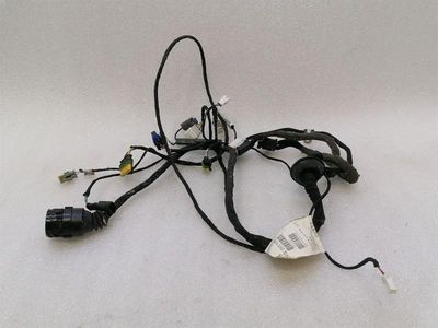 Ferrari 612 Scaglietti F137 driver door wiring 201108 driver door wiring harness