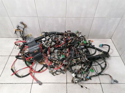 ASTON MARTIN DB9 COUPE Wiring Loom MAIN LHD Harness