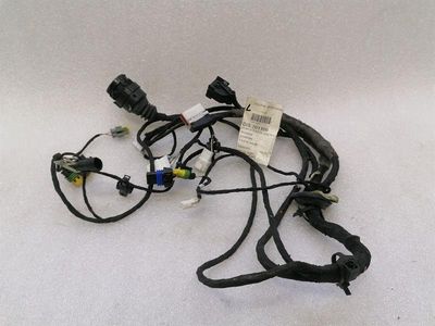 Ferrari 612 Scaglietti F137 Passenger Door Wiring 201109 Passenger Door Wiring Harness