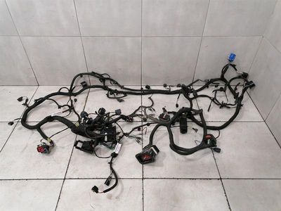 ASTON MARTIN RAPID S Wiring Loom FD43-14290-BD Harness FRONT LHD ENGINE BAY