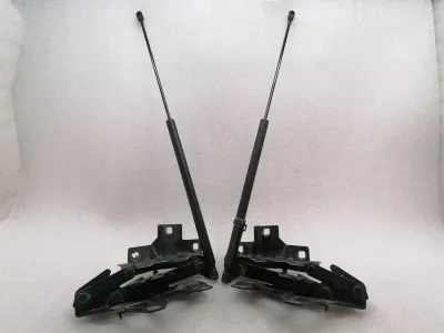 MAYBACH 57 W240 Bonnet Hinge Set A2408800128 Hood Hinge Set