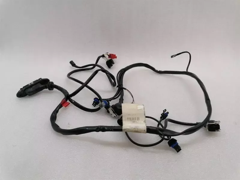 Ferrari 550 Maranello F133 Wiring Loom RH DOOR WIRING RHD Wiring Harness