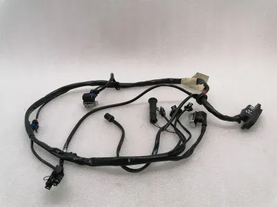 Ferrari 550 Maranello F133 Wiring Loom LH DOOR WIRING RHD Wiring Harness