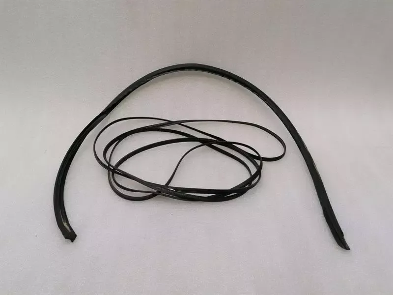 Ferrari 550 Maranello F133 Seal 67010100 Gaskets Rear Window Gasket