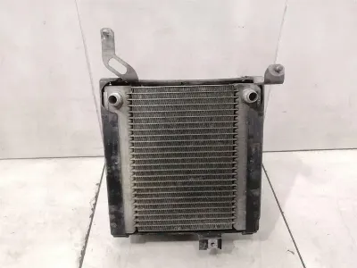 Mercedes E Class W212 Water Radiator A2185000103 Water Cooler