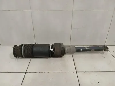 Mercedes S55 AMG W220 Shock Absorber Rear A2203201838 Shock Absorber Rear R ABC