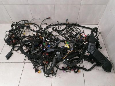 LAMBORGHINI HURRICANE LP 610-4 SPYDER MAIN Wiring Loom 4T8998786 RHD