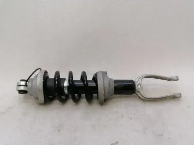 Audi R8 4S shock absorber front 4S0412019AC shock absorber front AWD EDC