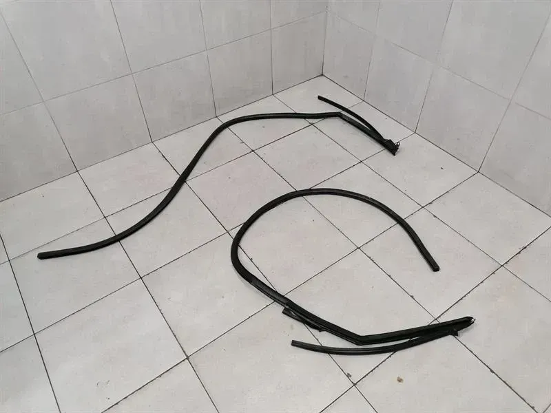 Audi R8 Type 42 V10 5.2 Spyder door seal set 427831707 door seals set