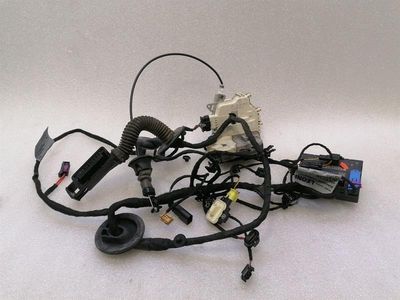 Lamborghini Huracan LP 610-4 COUPE Wiring Loom 4T0971036 LEFT Wiring Harness DOOR