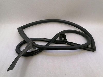 Lamborghini Huracan LP 610-4 COUPE Door Seal 4T8831708D RIGHT Door Seals