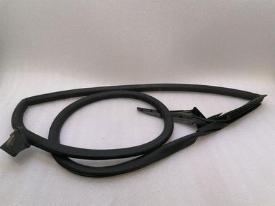 Lamborghini Huracan LP 610-4 COUPE Door Seal 4T8831707D LEFT Door Seals