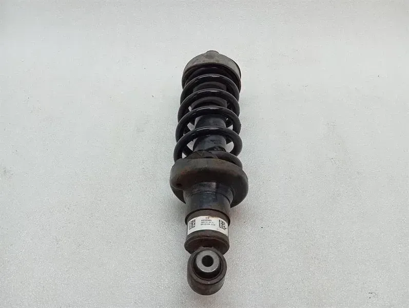 Audi R8 Type 42 V10 5.2 shock absorber rear 420512020A shock absorber rear