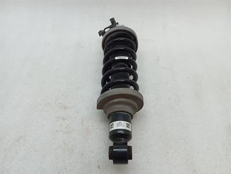 Lamborghini Huracan LP640 EVO shock absorber rear 4T7512019D shock absorber rear