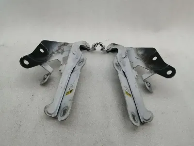 FORD MUSTANG MK6 S550 BOOT HINGE SET GR3B-16800-AC Tailgate Hinge Set