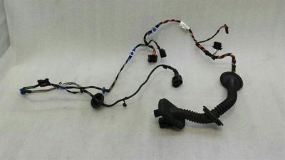 Porsche Cayenne 957 FLH door wiring 7L5971120 door wiring harness front left