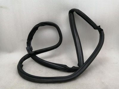 DODGE VIPER SRT-10 8.3 Left Door Seal 5030097AB Door Seals Left