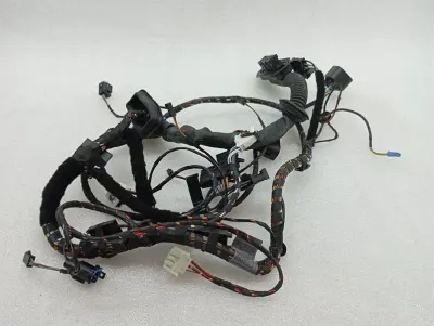 Rolls Royce Phantom MK7 VII 7 Wiring Loom 0022418 RR DOOR Wiring Harness