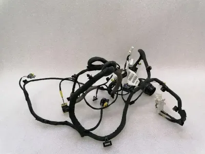 Ferrari F12 Berlinetta F152 Right Door Wiring Loom 282872 Door Harness Right