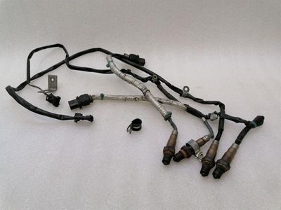 Ferrari F12 BERLINETTA F152 Lambda Sensor Set 286650 HO2S Set